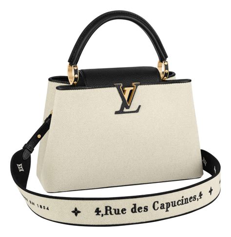 louis vuitton capucines price